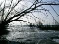 Picture 049
